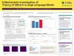 A Mechanistic Investigation of Theory of Mind in Large Language Models by Idil K. Sahin