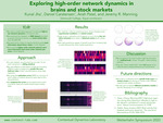 Exploring high-order network dynamics in brains and stock markets