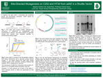 Site-directed mutagenesis on C252 and H734 from adhE in a shuttle vector by Meghan Kerfoot, Angel Pech, and Daniel Olson