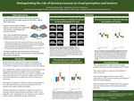 Distinguishing the role of dorsal precuneus in visual perception and memory