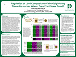 Regulation of Lipid Composition of the Golgi during Tissue Formation: Where Does PI 4-Kinase Stand? by Elise Tong and Bing He