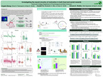 Investigating the neural circuitry of motivation in both food and social rewards