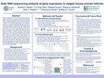 Bulk RNA sequencing analysis of gene expression in staged mouse ovarian follicles by Sophia E. Meytin, Yu-Ying Chen, Daniela Russo, Teresa K. Woodruff, Alex K. Shalek, Francesca Duncan, and Brittany A. Goods