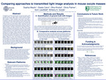 Comparing approaches to transmitted light image analysis in mouse oocyte masses by Sophia Meytin, Gisela Cairo, Olha Kholod, Olivia Palmer, Soni Lacefield, and Brittany A. Goods