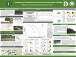 Belowground Biomass Dynamics Along a Temperate Forest Edge by Lara Holbrook Roelofs, S. Grady Welsh, Junior Burks, and Shersingh Joseph Tumber-Dávila
